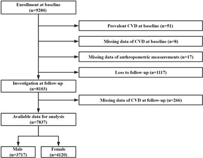 Visceral adiposity measures are strongly associated with cardiovascular disease among female participants in Southwest China: A population-based prospective study